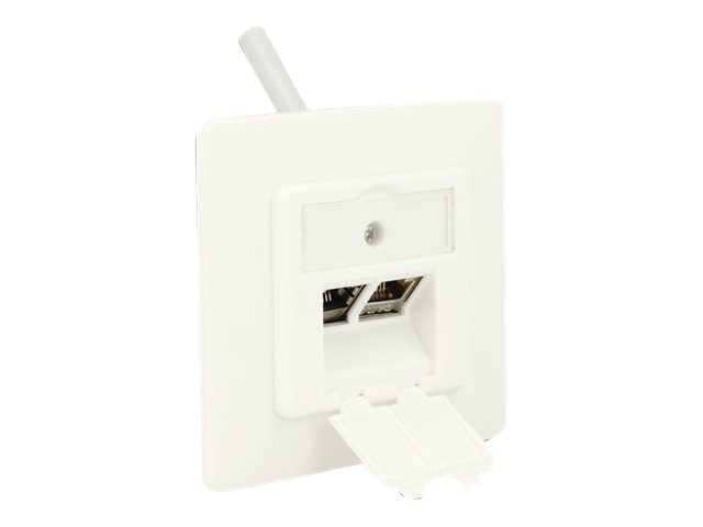 Delock Keystone Wall Outlet - Wanddose - Pure