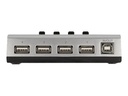 Delock Hub - 4 x USB 2.0 - Desktop