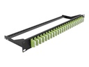 Delock Patch Panel - Rack montierbar - LC Quad MM x 24 - Schwarz, hellgrün - 1U - 48.3 cm (19")