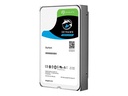 Seagate SkyHawk Surveillance HDD ST1000VX005 - Festplatte - 1 TB - intern - 3.5" (8.9 cm)