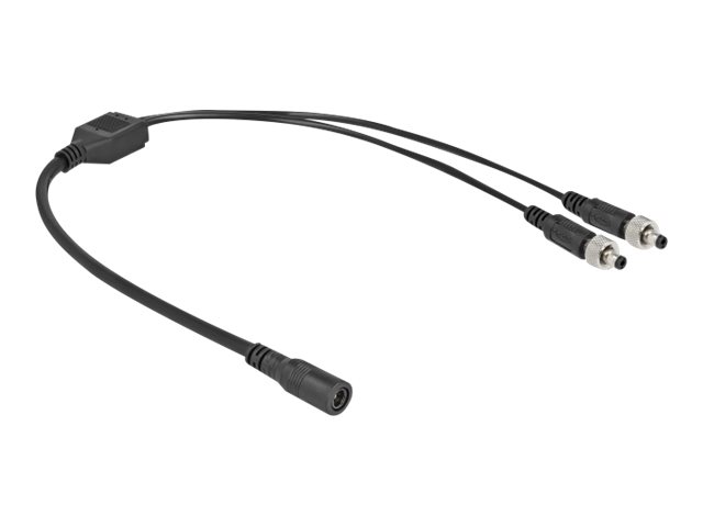 Delock Netz-Splitter - Gleichstromstecker 5,5 x 2,1 mm (W)