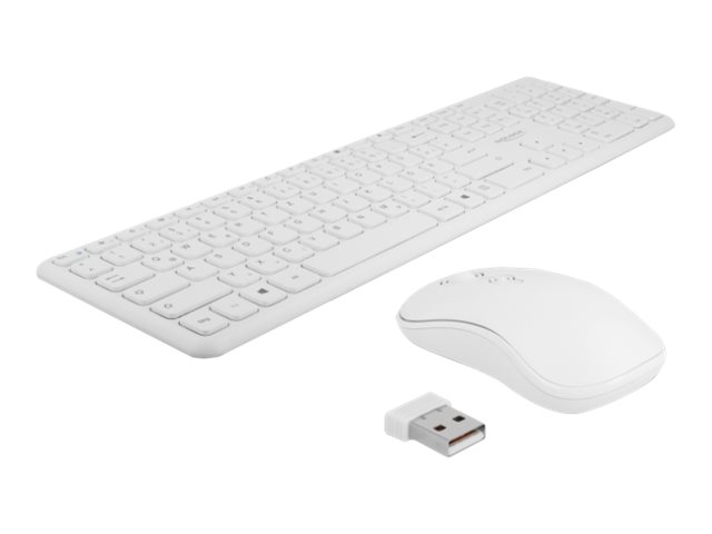 Delock Tastatur-und-Maus-Set - kabellos - 2.4 GHz