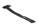 Delock Schnittstellenadapter - U.2 NVMe - M.2