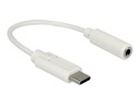 Delock Audio-Adapter - 24 pin USB-C männlich