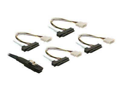 Delock Internes SAS-Kabel - 4-Lane - 26 PIN 4i Mini MultiLane (M)
