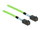 Delock Internes SAS-Kabel - SAS 64Gbit/s - gerade durchgeführt - Mini SAS HD (SFF-8673)