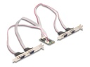 Delock Serieller Adapter - PCIe 1.2 Full Mini
