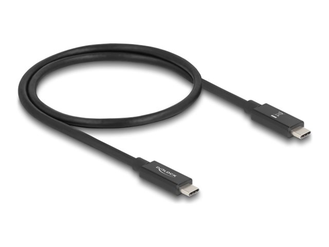 Delock USB-Kabel - 24 pin USB-C (M) zu 24 pin USB-C (M)