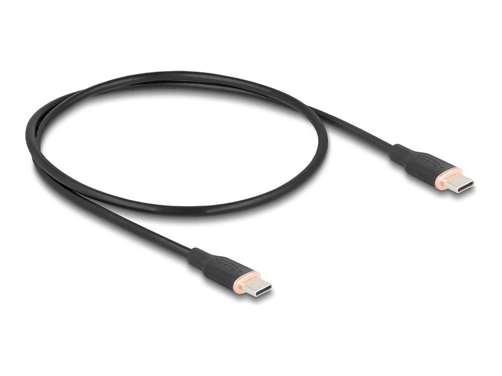 Delock USB-Kabel - 24 pin USB-C (M) zu 24 pin USB-C (M)