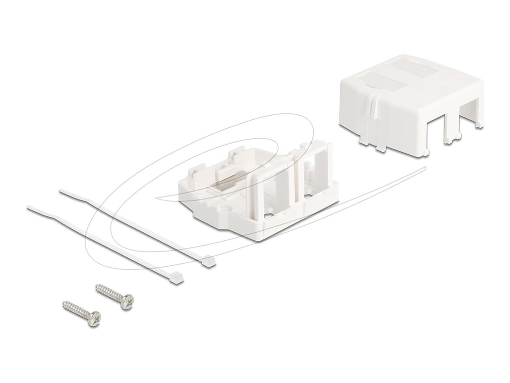 Delock Gehäuse mit modularen Einsätzen - Keystone-Oberfläche