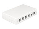 Delock Installationskasten Netzwerkoberfläche