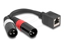 Delock Audio-Adapter - XLR3 männlich zu RJ-45