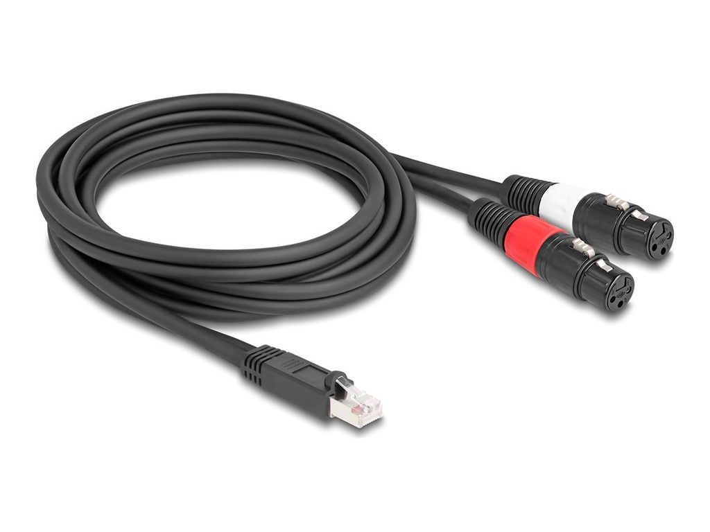 Delock DMX-Kabel - RJ-45 männlich zu XLR3 weiblich