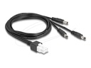 Delock Stromkabel - 6 pin Mini-Fit (M) zu DC-Stecker 5,5 mm x 2,5 mm (M)