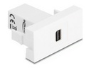 Delock Easy 45 - Einrastmodul - to mini DisplayPort female
