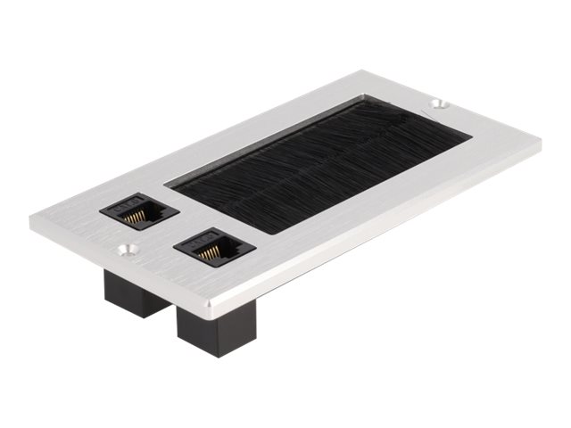 Delock Keystone-Steckdose - RJ 45 - 2 Netzwerksteckdosen