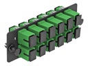 Delock Glasfaser-Adapterplatine - SC/APC SM x 12
