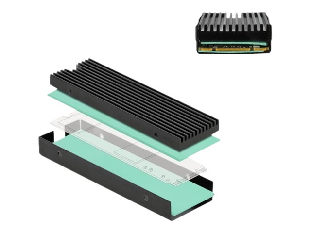 Delock Solid State Drive Kühlkörper - Schwarz