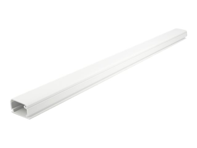 Delock Kabelkanal mit Abdeckung - 1 m - weiß