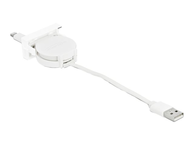 Delock Lightning-Kabel - USB männlich zu Lightning