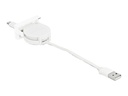 Delock Lightning-Kabel - USB männlich zu Lightning männlich