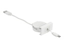 Delock USB-Kabel - USB (M) zu Micro-USB Typ B (M)