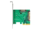 Delock Schnittstellenadapter - Ultra M.2 Card