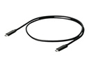 EIZO USB-Kabel - USB-C (M) zu USB-C (M) - 1