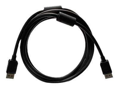 EIZO PP200-K - DisplayPort-Kabel - DisplayPort (M)