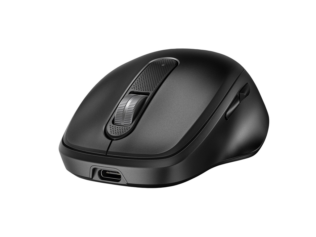 HP 515 - Maus - vollständig, ultraschnell aufladbar - 5 Tasten - kabellos - 2.4 GHz - kabelloser Empfänger (USB)