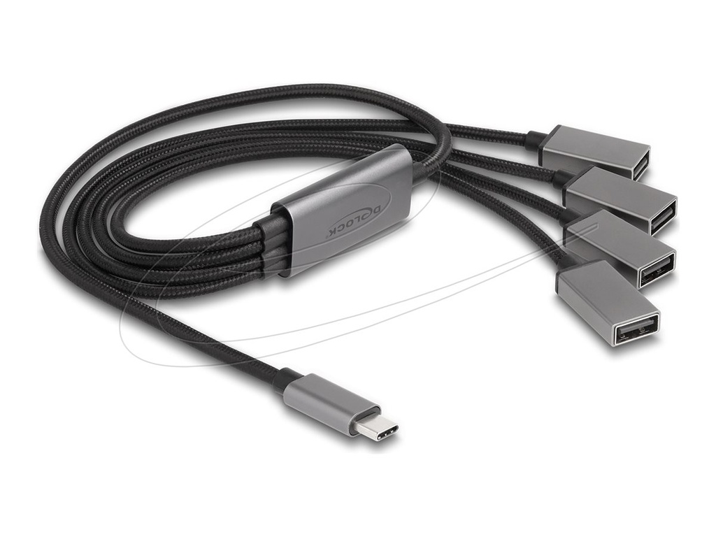 Delock Hub - 4 x USB 2.0 - Desktop
