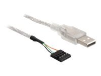 Delock USB Pinheader - USB-Kabel - USB (M) zu 5-polig, intern (W)
