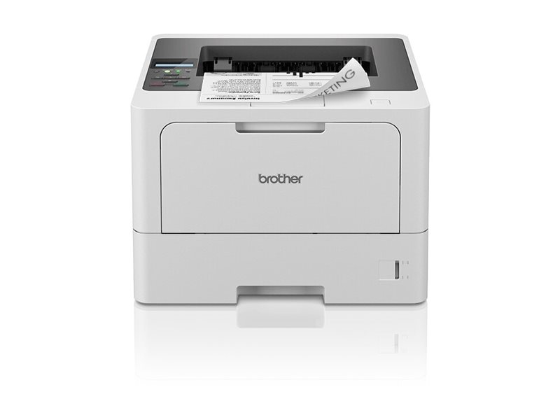 Brother HL-L5215DN - Drucker - s/w - Duplex