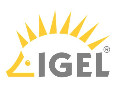 Lenovo Igel Rapid Deployment - Implementierung