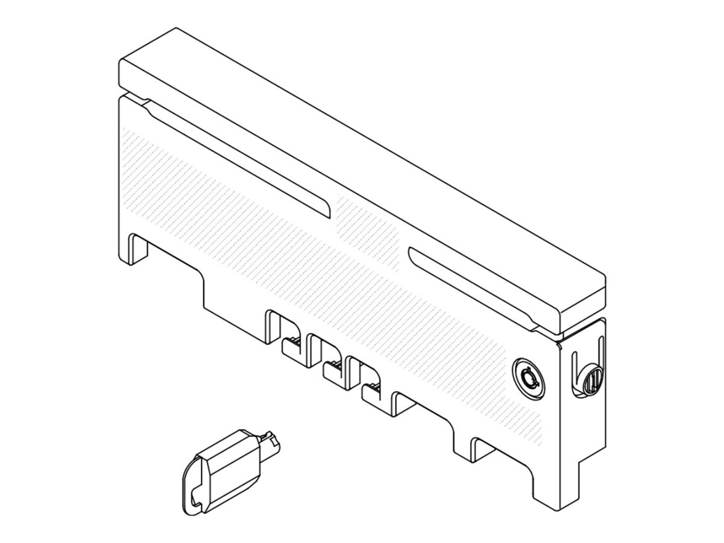 Lenovo Server-Sicherheitsblende - für ThinkEdge