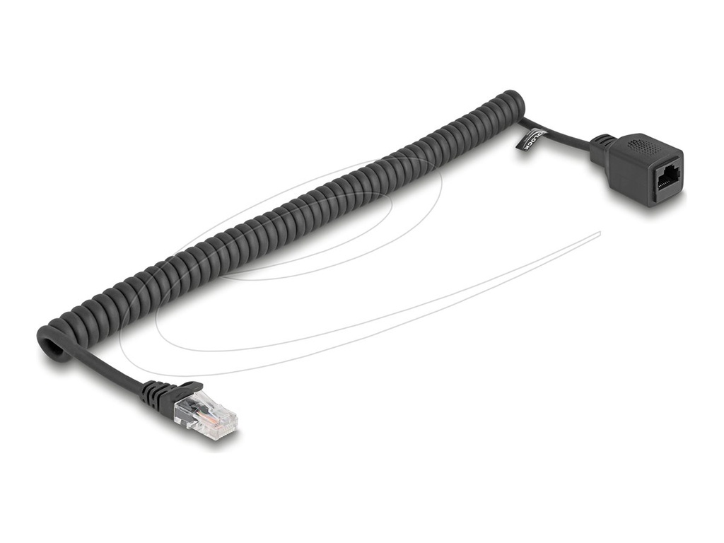 Delock Netzwerkverlängerungskabel - RJ-45 (M)