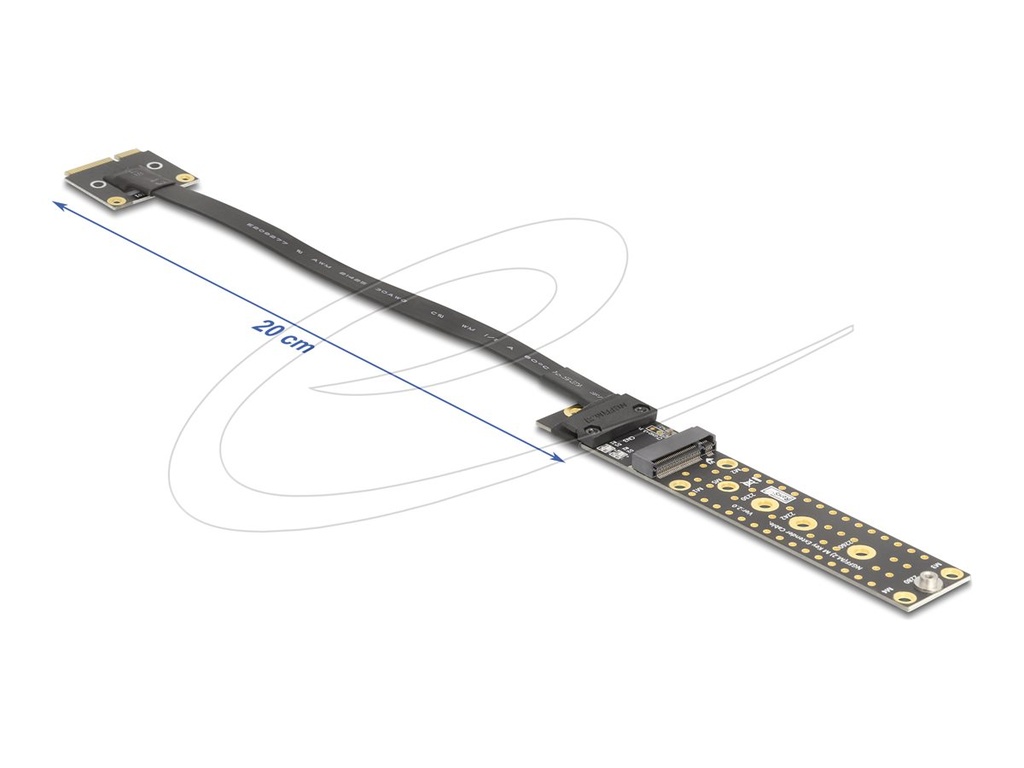 Delock Riser Card