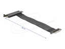Delock Riser Card