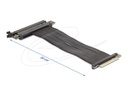 Delock Riser Card