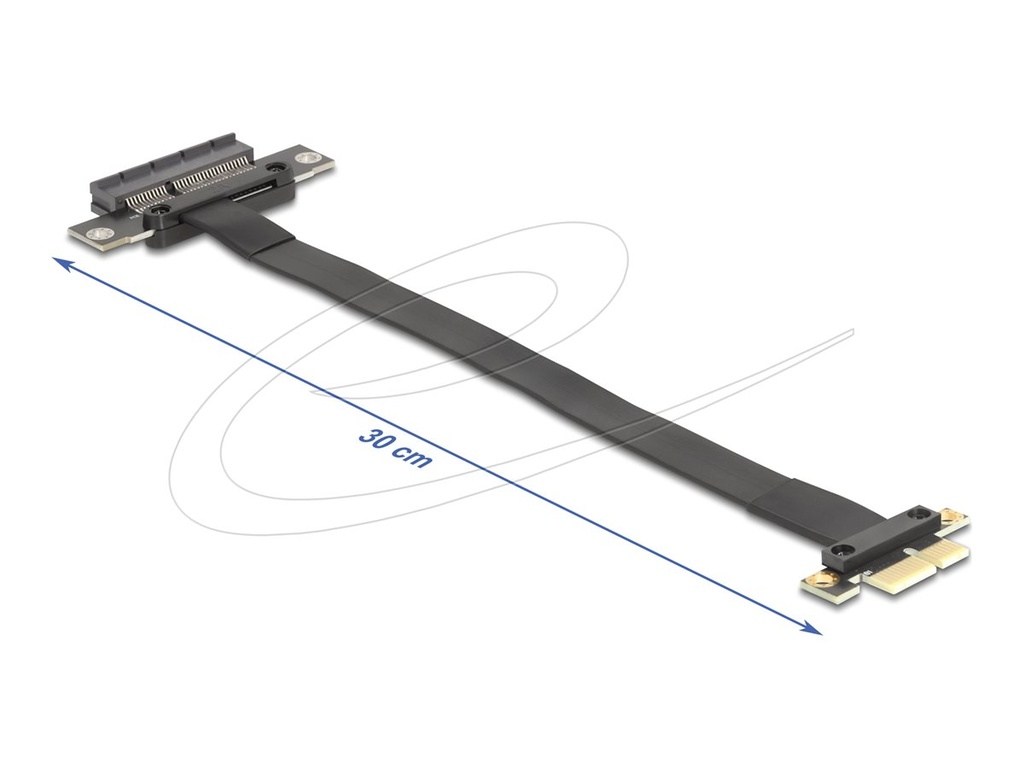 Delock Riser Card