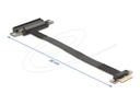 Delock Riser Card