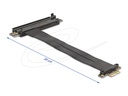 Delock Riser Card