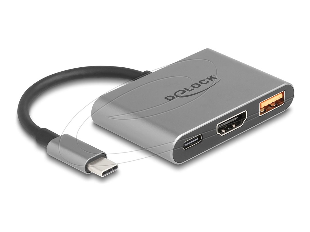 Delock Dockingstation - USB-C / Thunderbolt