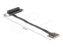 Delock Riser Card