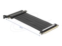 Delock Riser Card