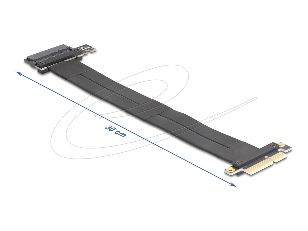 Delock Riser Card