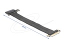 Delock Riser Card