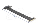 Delock Riser Card
