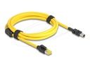 Delock Netzwerkkabel - RJ-45 (M) zu 8-polig Mini-IO Typ 2 (M)