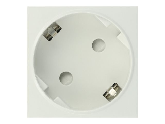 Delock Easy 45 - Steckdose - 2P+E - Typ F - mit Verschluss - 1 Steckdose - 16 A - Wechselstrom 250 V - weiß, RAL 9003 (Packung mit 10)